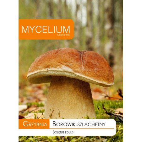 Grzybnia Borowik szlachetny - Mycelium