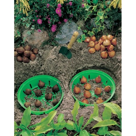 Koszyk do sadzenia cebul: mały