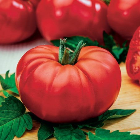 Pomidor Marmande VR nasiona 0,2g