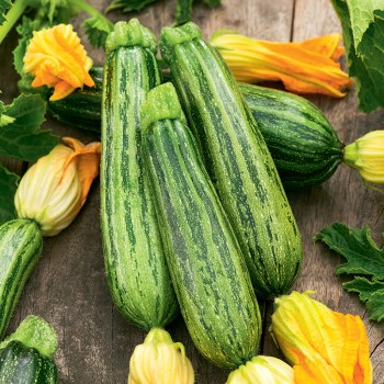 Cukinia Lajkonik nasiona 2g