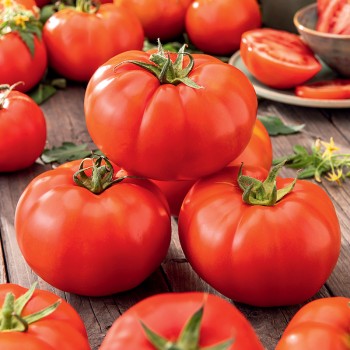 Pomidor Babinicz nasiona 0,2g