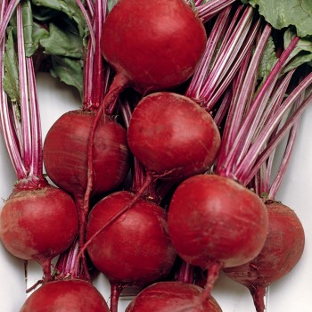 Burak Bonel nasiona 10g