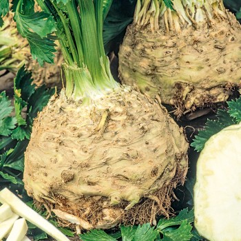 Seler Albin nasiona 1g