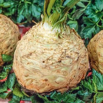 Seler Talar nasiona 1g