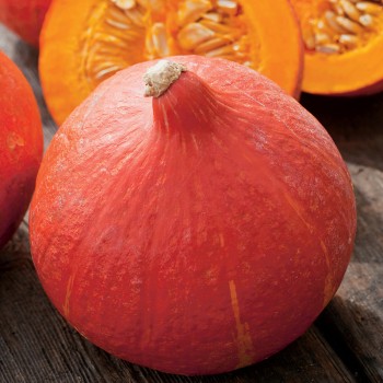 Dynia Uchiki Kuri nasiona 2g