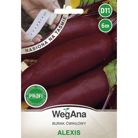 Burak ćwikłowy Alexis