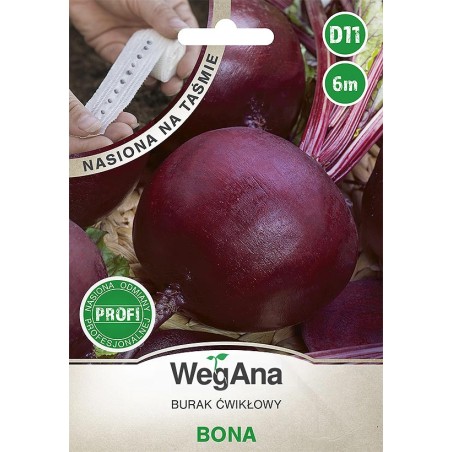 Burak ćwikłowy Bona