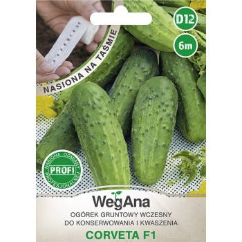 Ogórek gruntowy Corveta F1