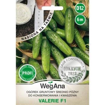 Ogórek konserwowy Valerie F1