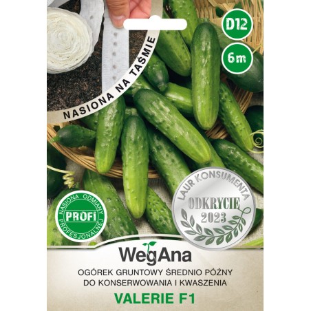 Ogórek konserwowy Valerie F1
