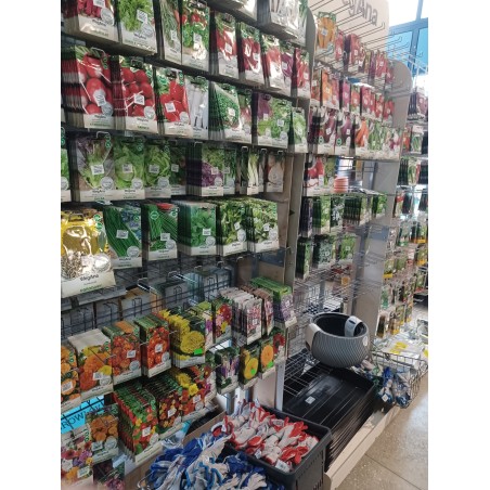 Nasiona warzyw, kwiatów i ziół