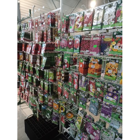 Nasiona warzyw, kwiatów i ziół