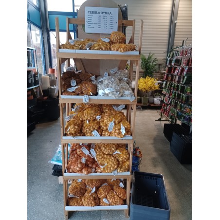 Cebula dymka najlepsze odmiany