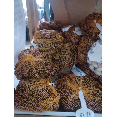 Cebula dymka najlepsze odmiany