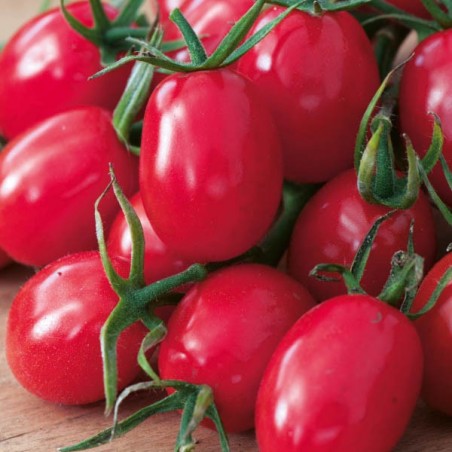 Pomidor Malinowy Kapturek