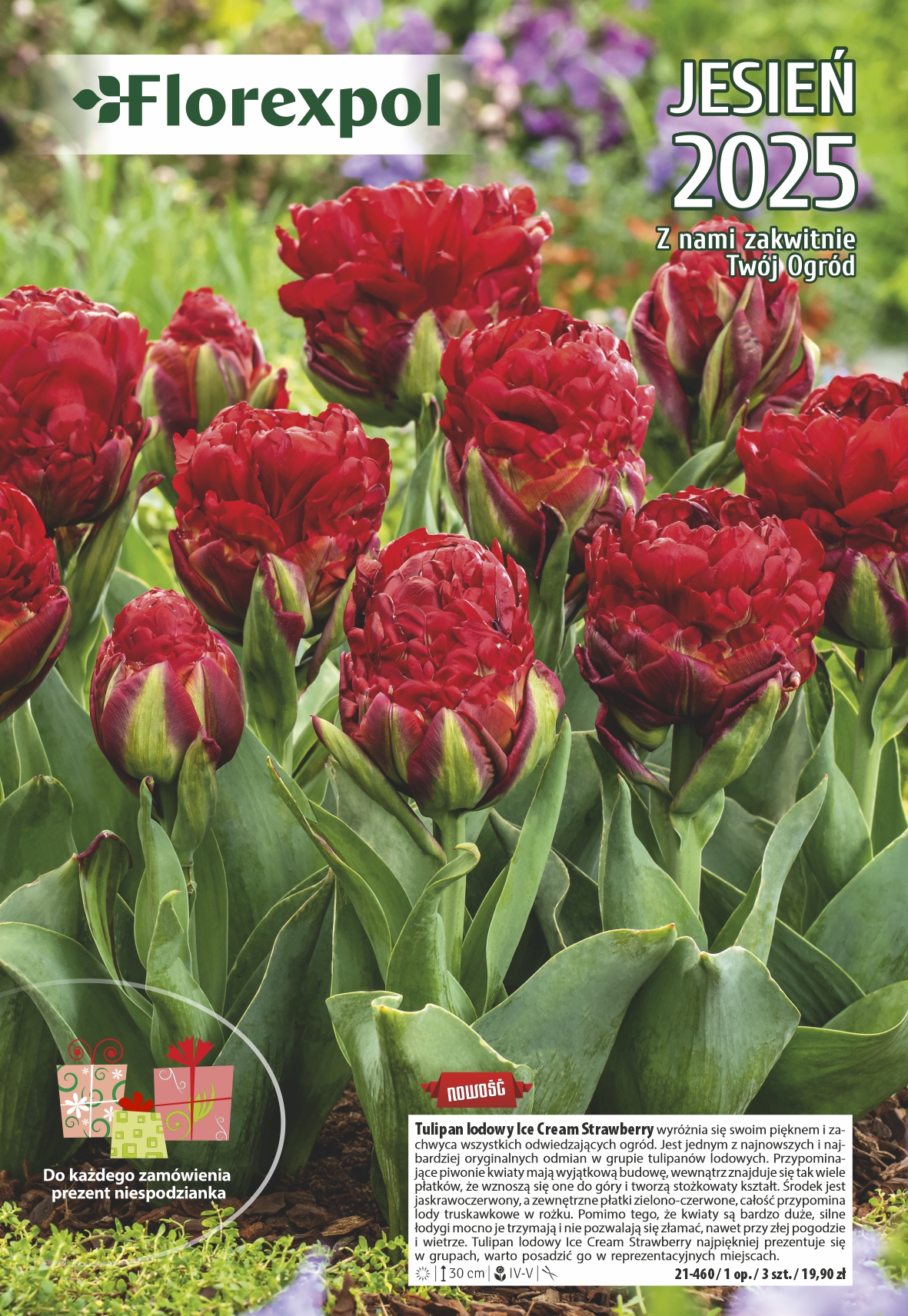 Katalog FlorexPol Wiosna 2025