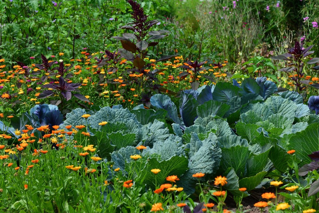 Prace w ogrodzie w maju: Jak przygotować ogród na letni sezon?