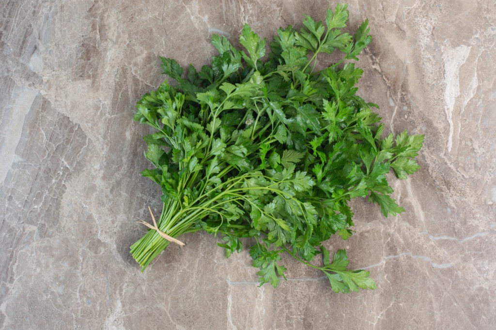 Pietruszka w ogrodzie – jak wybrać najlepszą odmianę, kiedy siać i jak dbać o rośliny?