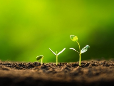 Rozpoczynamy blogowanie!