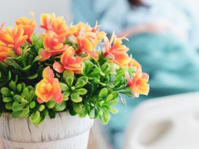 Roślinność dla Szpitala Dziecięcego w Lublinie