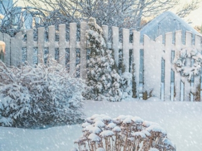 Kalendarium Ogrodnika: styczeń