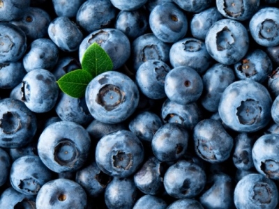 Kalendarium Ogrodnika: sierpień