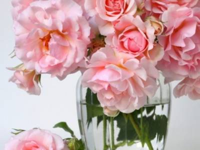 Jubileusz: Florexpol ma 30 lat! Czwarta „dycha” z nowym logo