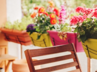 Kwiaty na balkon: wszystko, co musisz wiedzieć, by były zdrowe i kwitnące