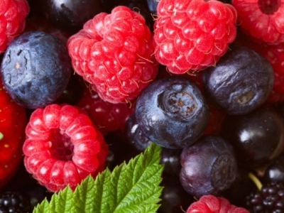 Superfoods z własnego ogródka - owoce pełne witamin: aronia, borówka, czarna porzeczka, jagoda goji,