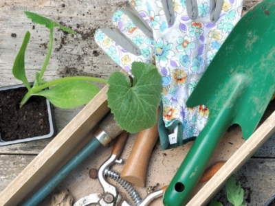 Przegląd najważniejszych akcesoriów ogrodniczych