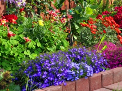 Aranżacja ogrodu przy płocie - oryginalne pomysły i rozwiązania