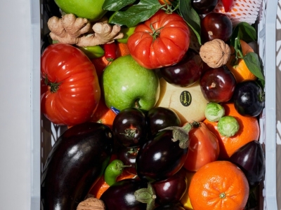 Jak zrobić ogródek warzywny na balkonie? Kompleksowy poradnik