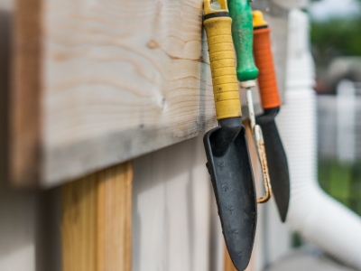 W jakie narzędzia do ogrodu z pewnością warto zainwestować? Sprawdź, o czym nie można zapomnieć