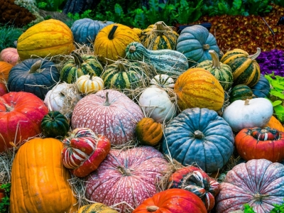 Jakie wykonać w październiku prace w ogrodzie, aby przygotować go do zimy?