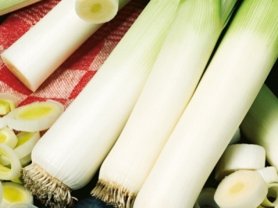 Pory – siew zimowy krok po kroku: jak uzyskać mocną rozsadę bez wybiegania